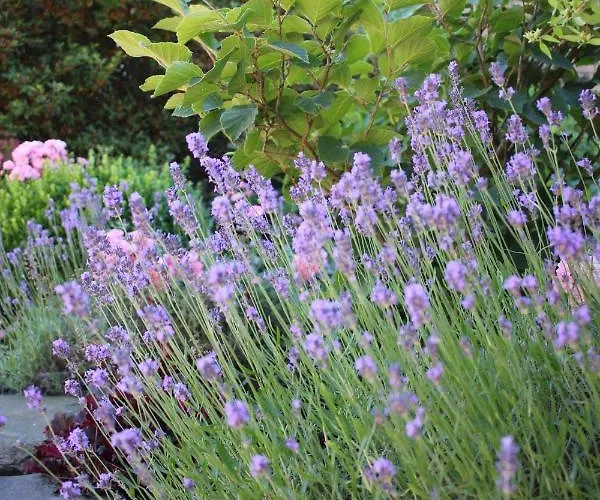 Zum Nutscheid 公寓